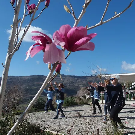 Ktima Noosfera Wellness & Retreat Center Pensionat Karya