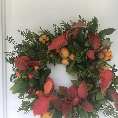 Ktima Noosfera Wellness & Retreat Center Pensión