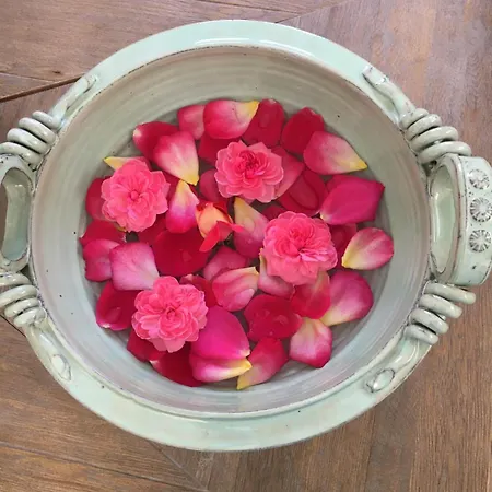 Ktima Noosfera Wellness & Retreat Center 4*