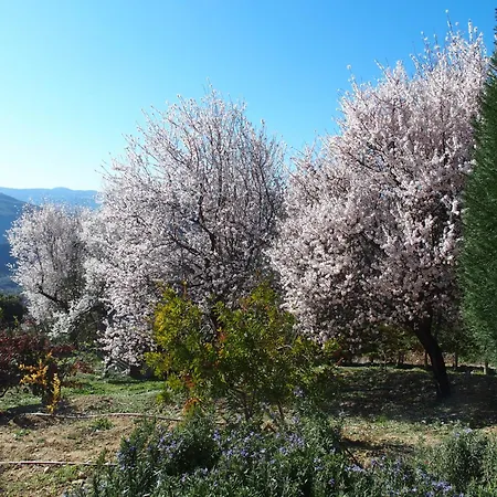 Vendégház Ktima Noosfera Wellness & Retreat Center