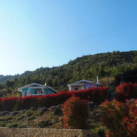 Ktima Noosfera Wellness & Retreat Center *