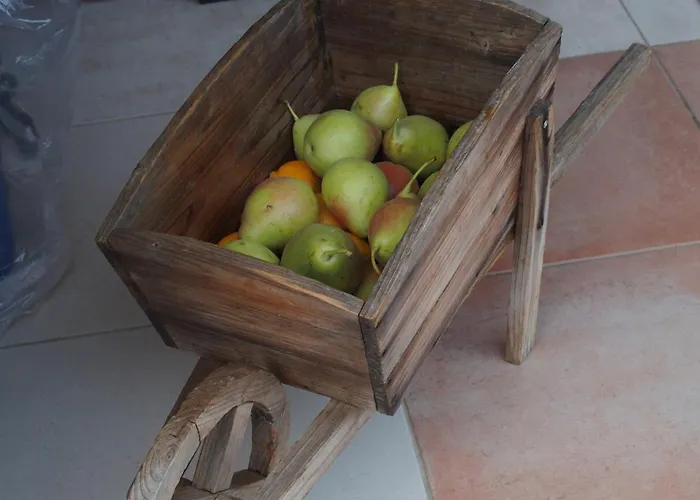 Ktima Noosfera Wellness & Retreat Center Kariá