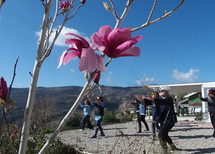 Ktima Noosfera Wellness & Retreat Center Casa de hóspedes Kariá