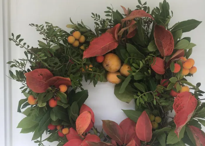 Ktima Noosfera Wellness & Retreat Center Casa de hóspedes