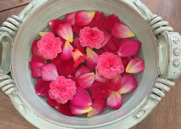 Ktima Noosfera Wellness & Retreat Center 4*