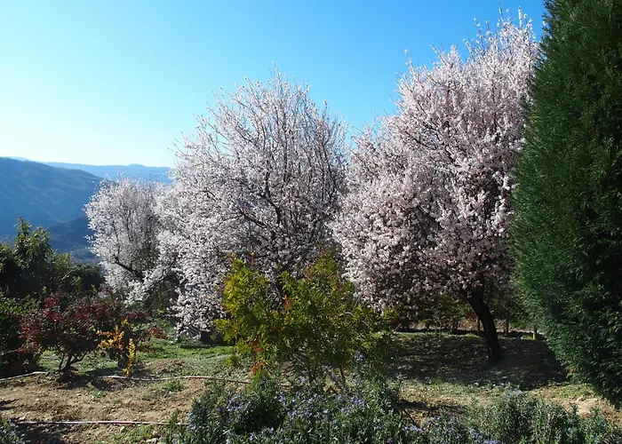 Casa de hóspedes Ktima Noosfera Wellness & Retreat Center