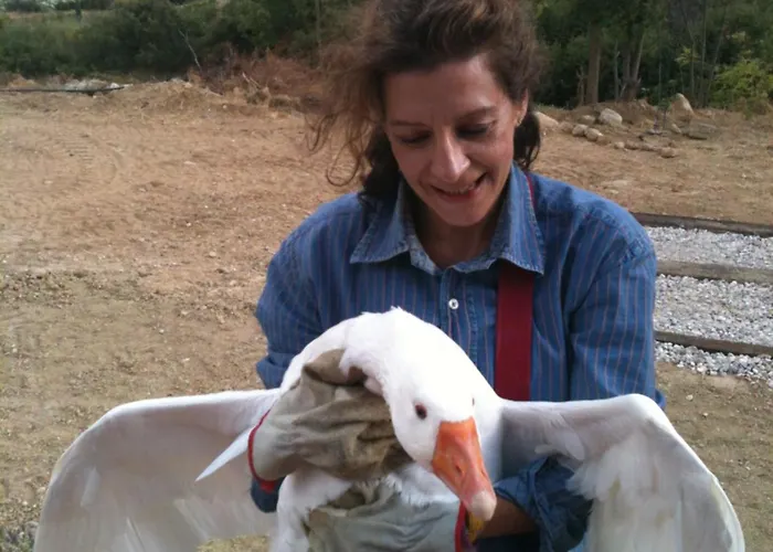 Ktima Noosfera Wellness & Retreat Center Casa de hóspedes Kariá